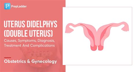 two vaginas|Uterus didelphys (double uterus): Symptoms and more